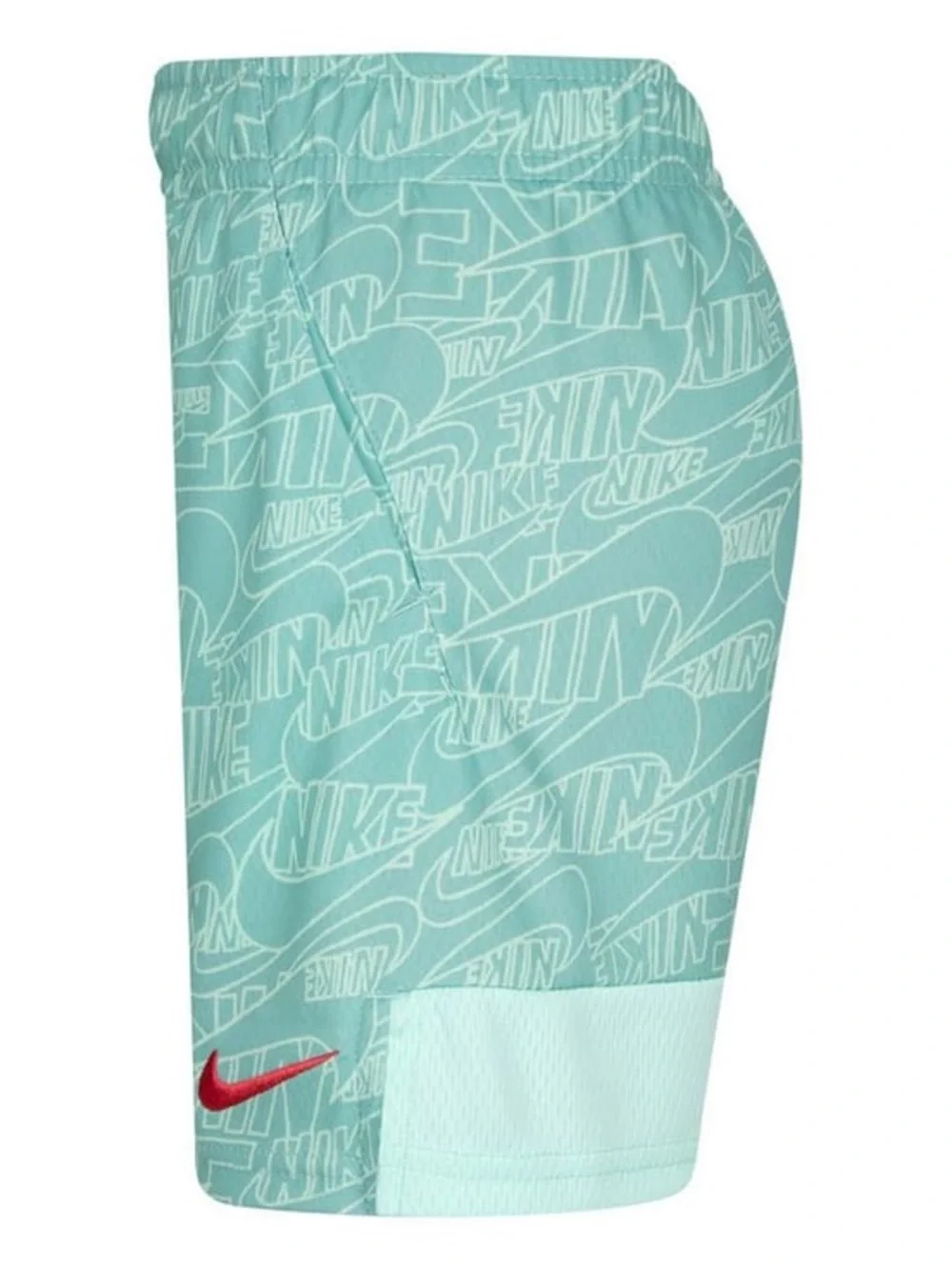 Youth Boy’s Nike Dri-Fit Performance Shorts | Size XL